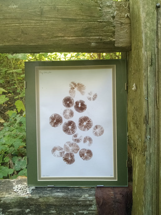 Spore Print #915