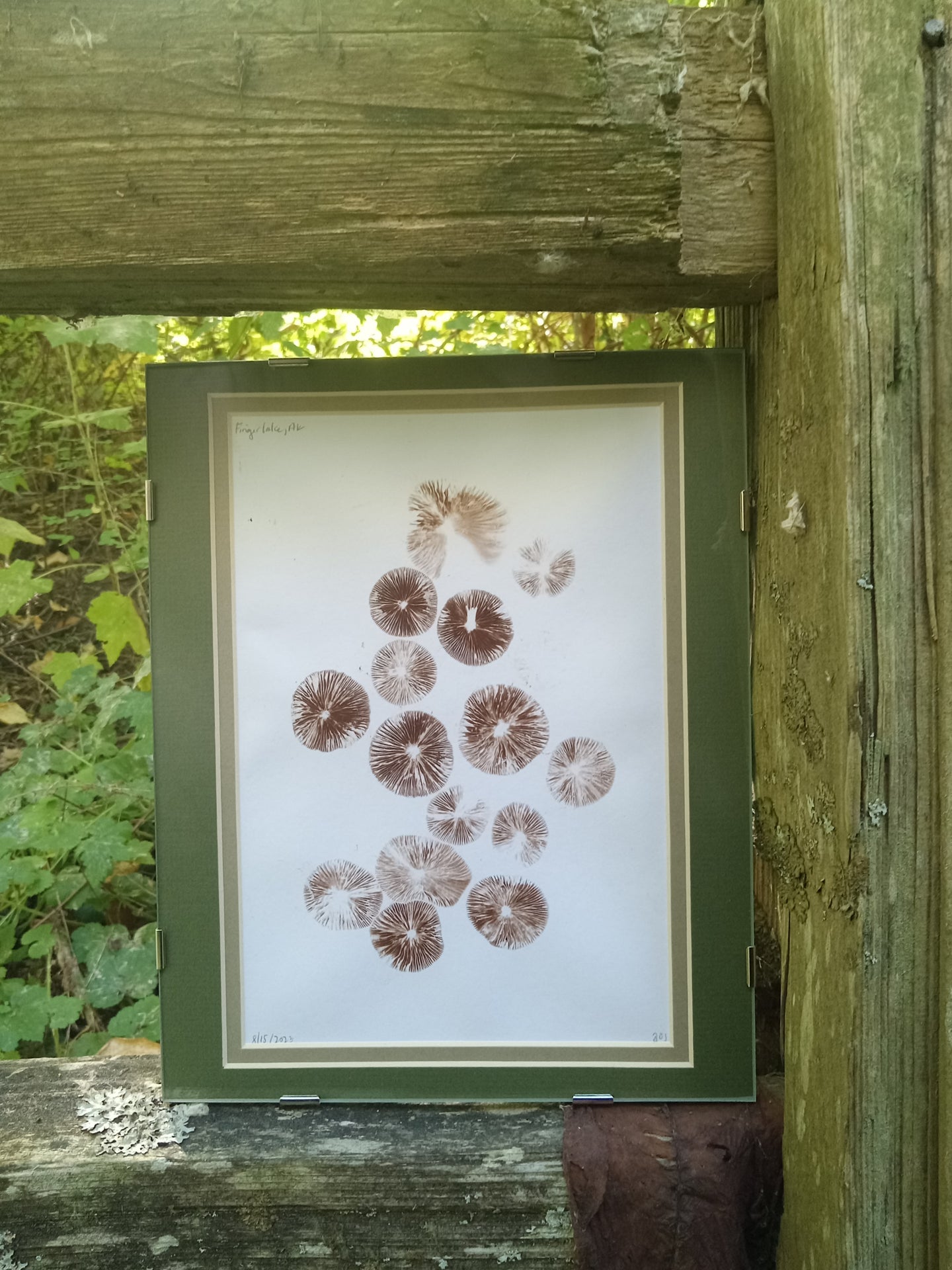 Spore Print #915