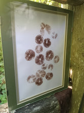 Load image into Gallery viewer, Spore Print #915