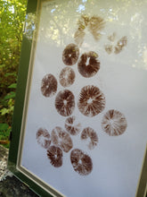 Load image into Gallery viewer, Spore Print #915