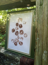 Load image into Gallery viewer, Spore Print #915