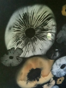 Spore Print #939- Finger Lake, Alaska 2023
