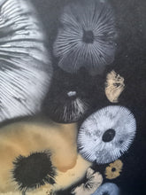 Load image into Gallery viewer, Spore Print #939- Finger Lake, Alaska 2023