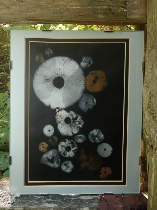 Spore Print #955 -Finger Lake, Alaska 2023