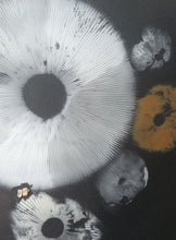 Load image into Gallery viewer, Spore Print #955 -Finger Lake, Alaska 2023