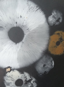Spore Print #955 -Finger Lake, Alaska 2023