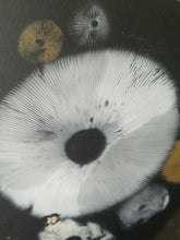 Load image into Gallery viewer, Spore Print #955 -Finger Lake, Alaska 2023