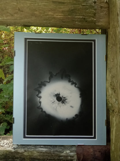 Spore Print #911- Finger Lake, Alaska 2023