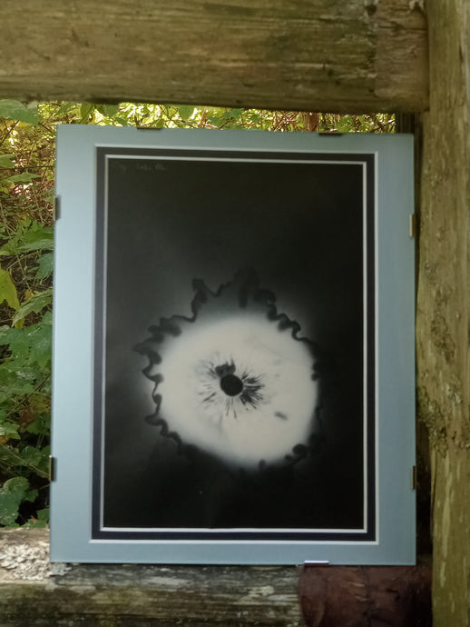 Spore Print #911- Finger Lake, Alaska 2023