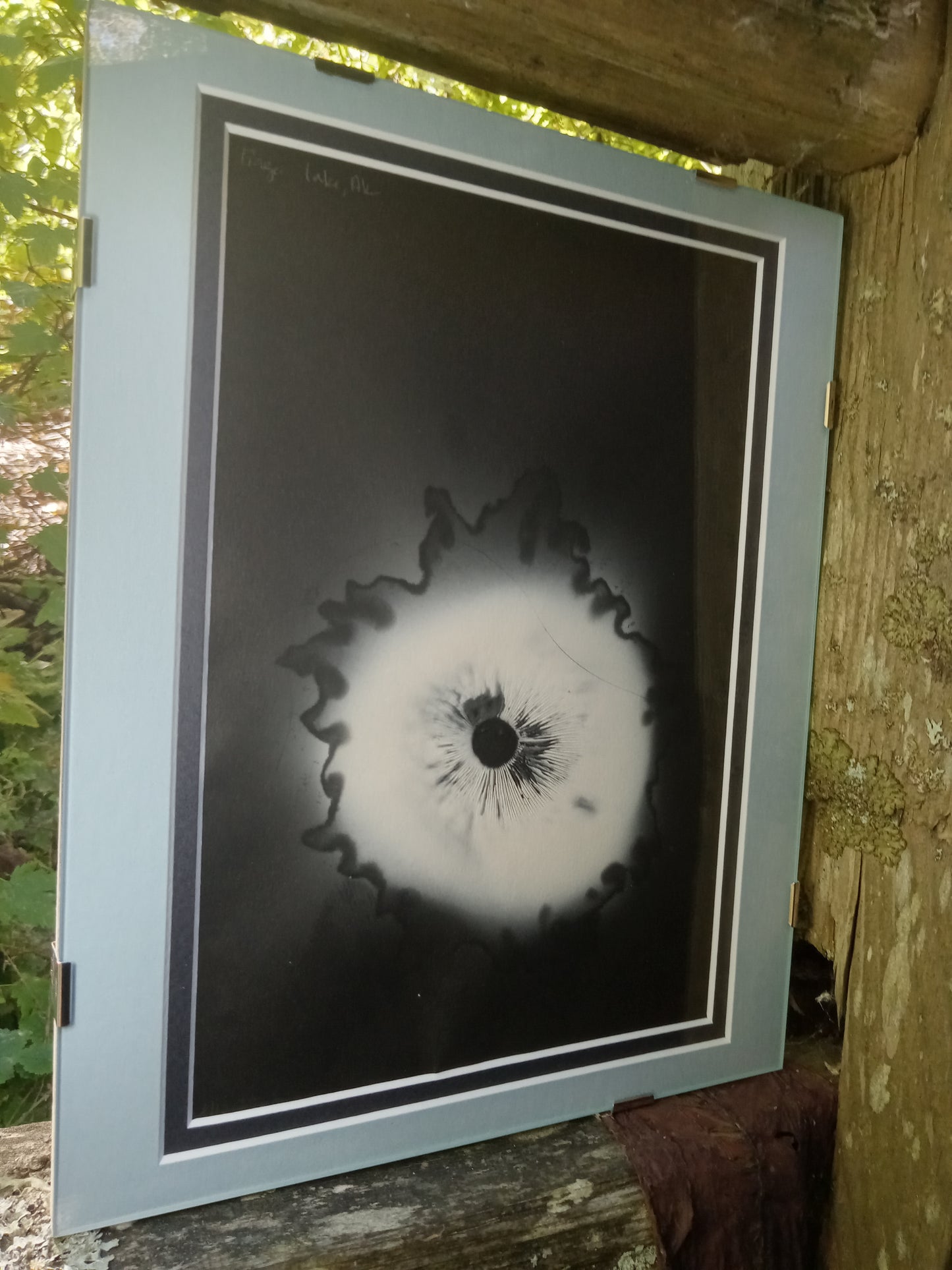 Spore Print #911- Finger Lake, Alaska 2023
