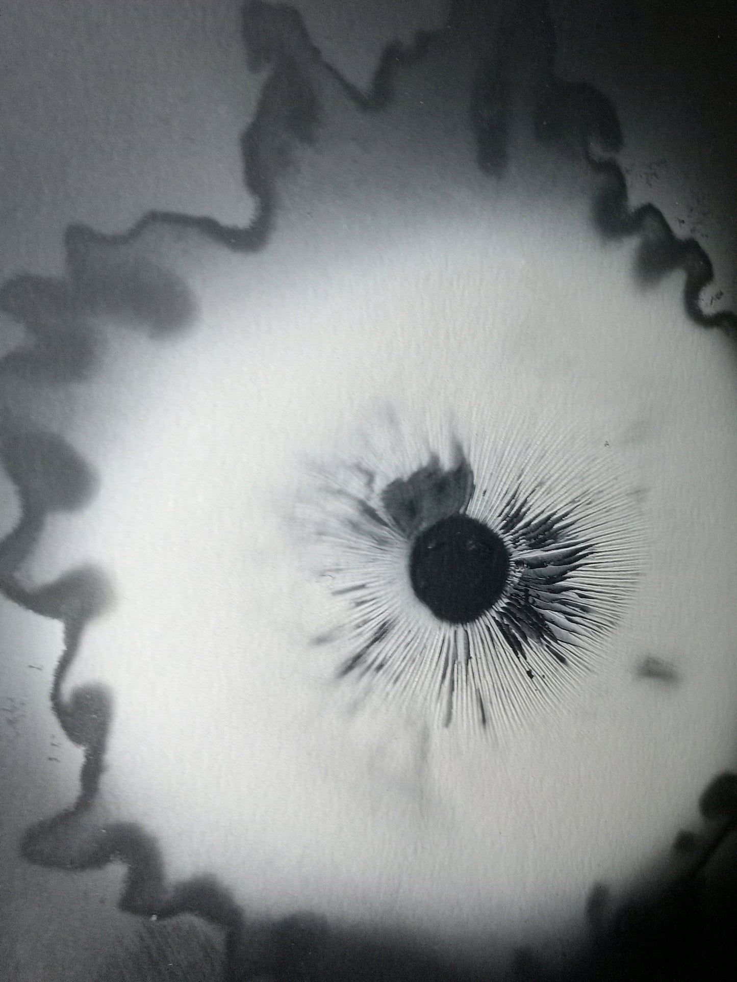 Spore Print #911- Finger Lake, Alaska 2023