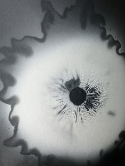 Spore Print #911- Finger Lake, Alaska 2023
