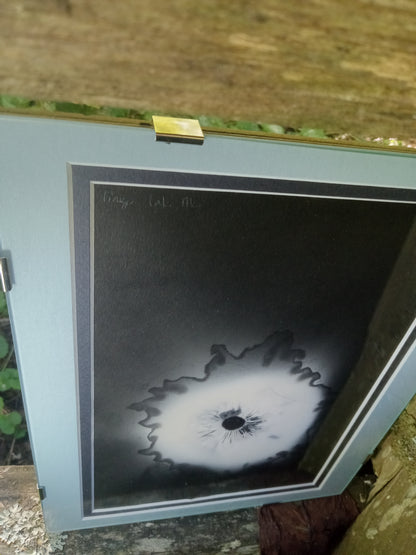 Spore Print #911- Finger Lake, Alaska 2023