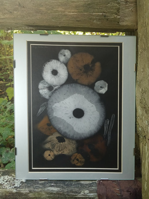 Spore Print #920- Finger Lake, Alaska