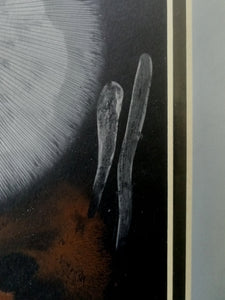 Spore Print #920- Finger Lake, Alaska