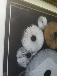 Spore Print #920- Finger Lake, Alaska