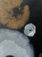 Load image into Gallery viewer, Spore Print #920- Finger Lake, Alaska