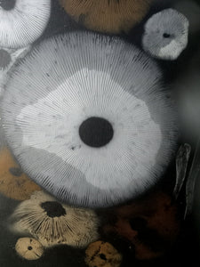 Spore Print #920- Finger Lake, Alaska