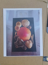 Load image into Gallery viewer, Spore Print #920- Finger Lake, Alaska