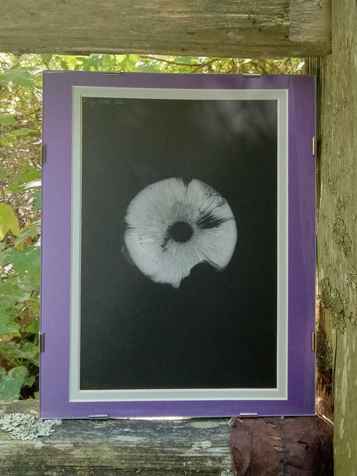 Spore Print #917- Finger Lake, Alaska 2023