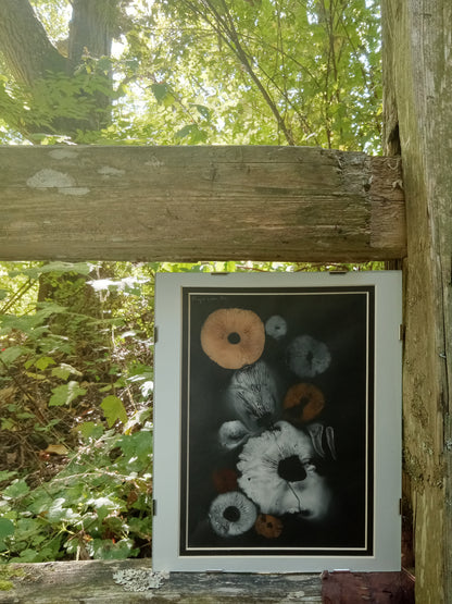 Spore Print #943- Finger Lake, Alaska 2023