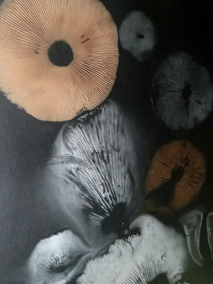 Spore Print #943- Finger Lake, Alaska 2023