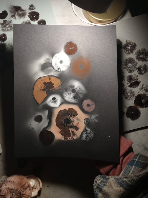 Spore Print #1072- Portland, OR