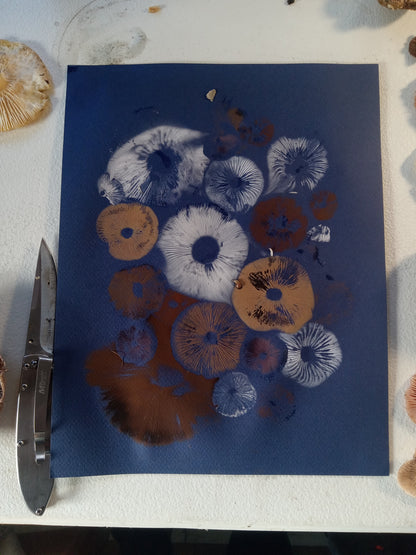 Spore Print #1074- Portland, OR