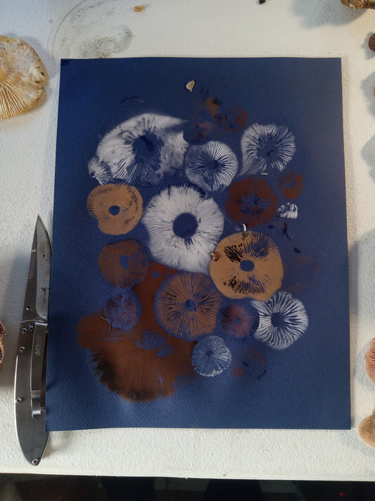 Spore Print #1074- Portland, OR