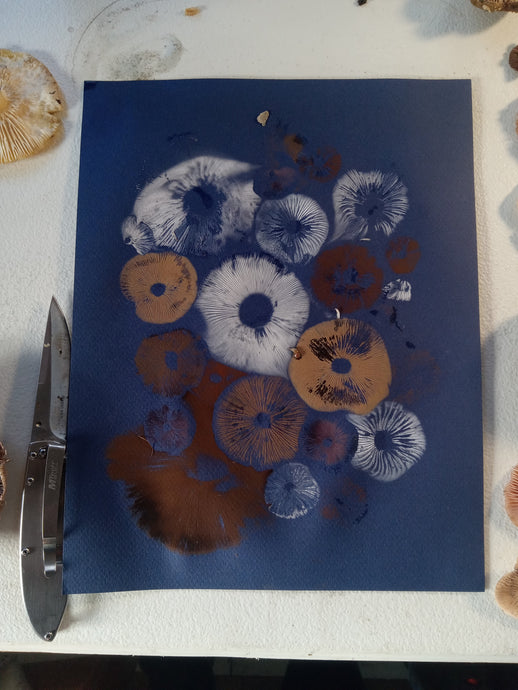 Spore Print #1074- Portland, OR