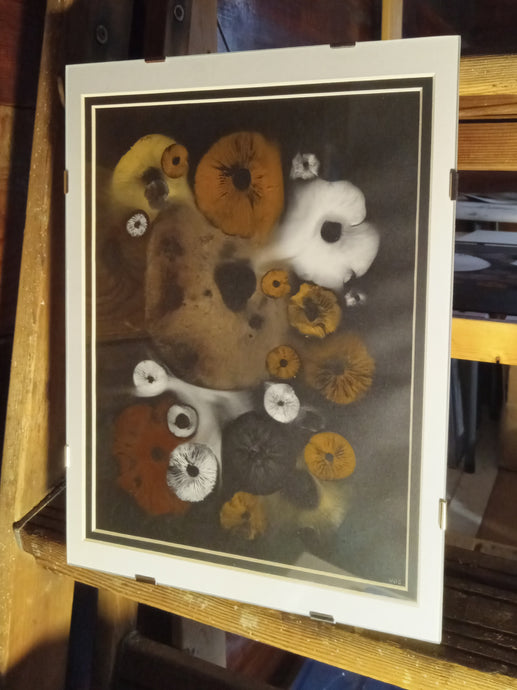 Spore Print #1013 - Skilak Lake, Alaska
