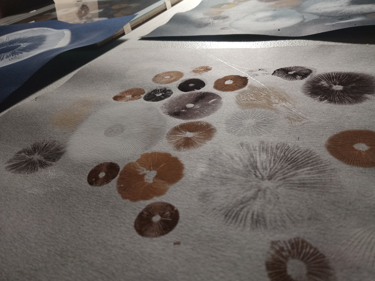 Spore Print #1075- Portland, OR