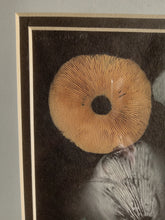 Load image into Gallery viewer, Spore Print #943- Finger Lake, Alaska 2023