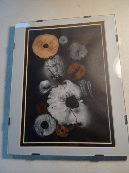 Spore Print #943- Finger Lake, Alaska 2023