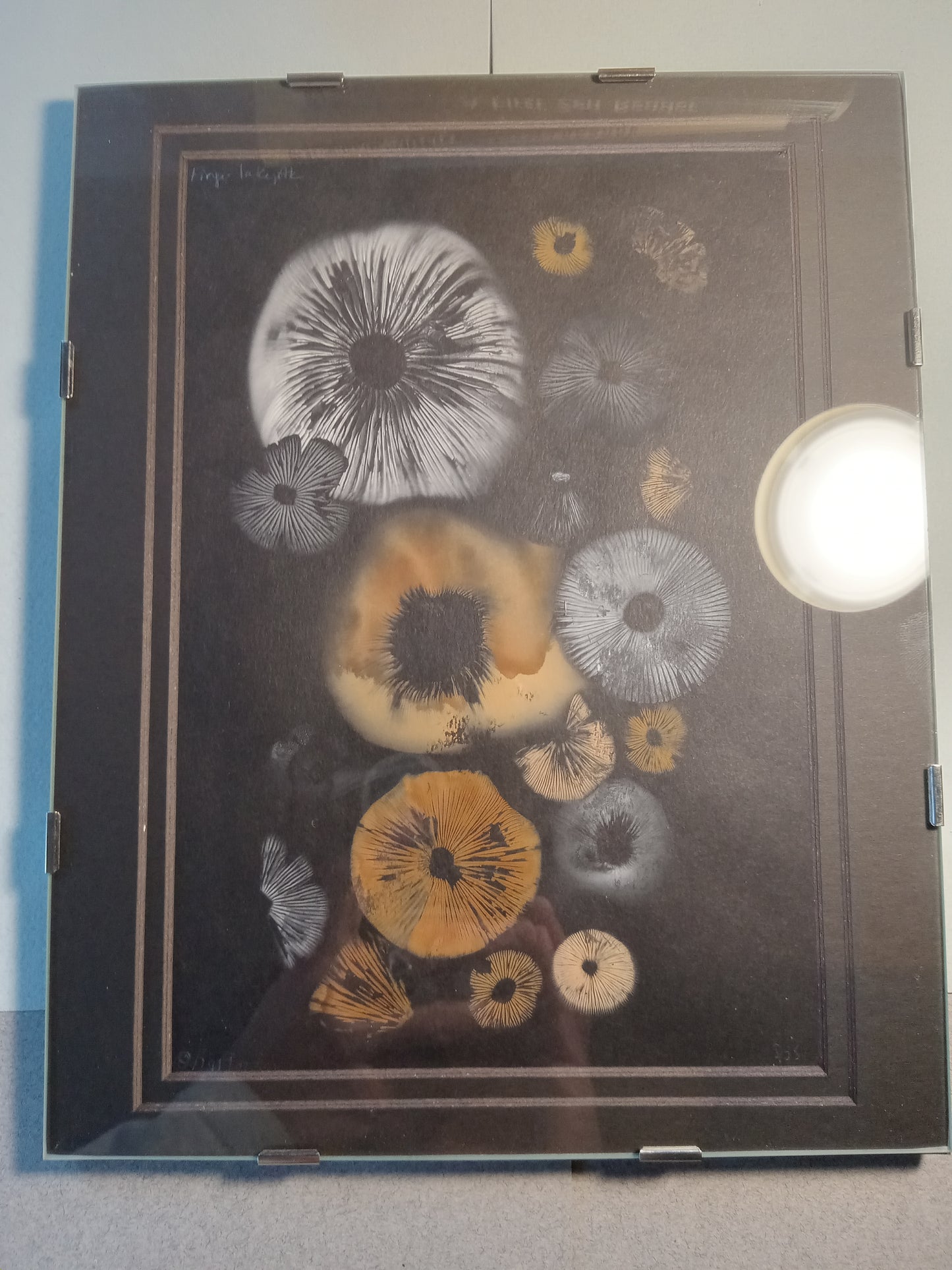 Spore Print #939- Finger Lake, Alaska 2023