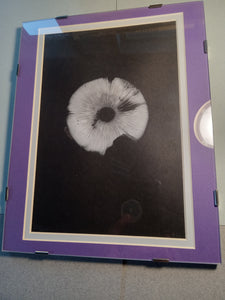 Spore Print #917- Finger Lake, Alaska 2023