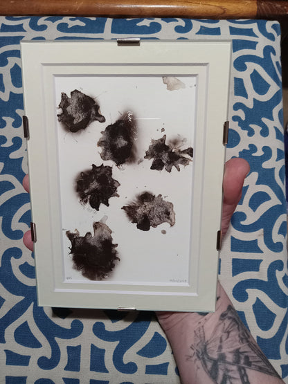 Spore Print #1150- Portland, OR