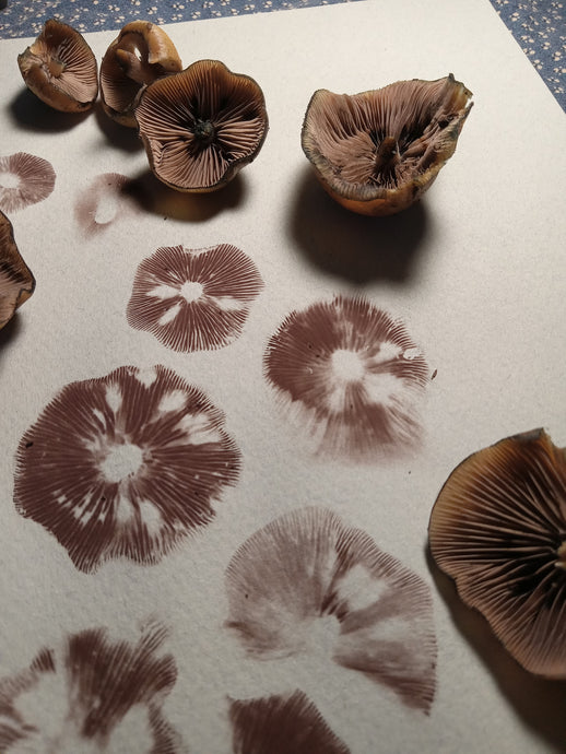 Spore Print #1155- Portland, OR