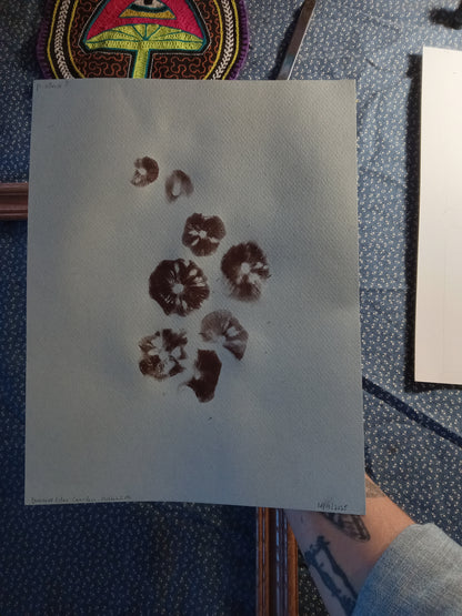 Spore Print #1155- Portland, OR