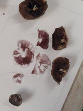 Load image into Gallery viewer, Mushrooms on a white surface