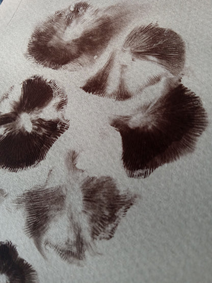 Spore Print #1152- Portland, OR