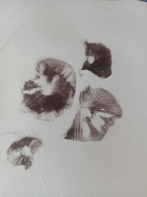Spore Print #1151- Portland, OR