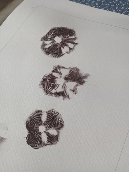 Spore Print #1150- Portland, OR