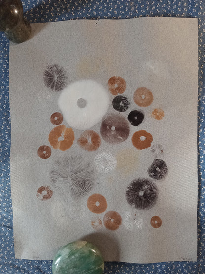 Spore Print #1075- Portland, OR