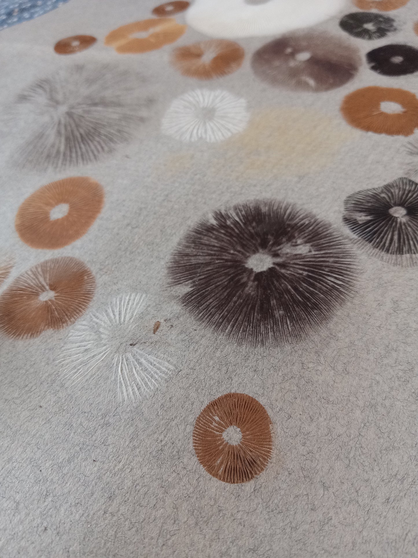 Spore Print #1075- Portland, OR