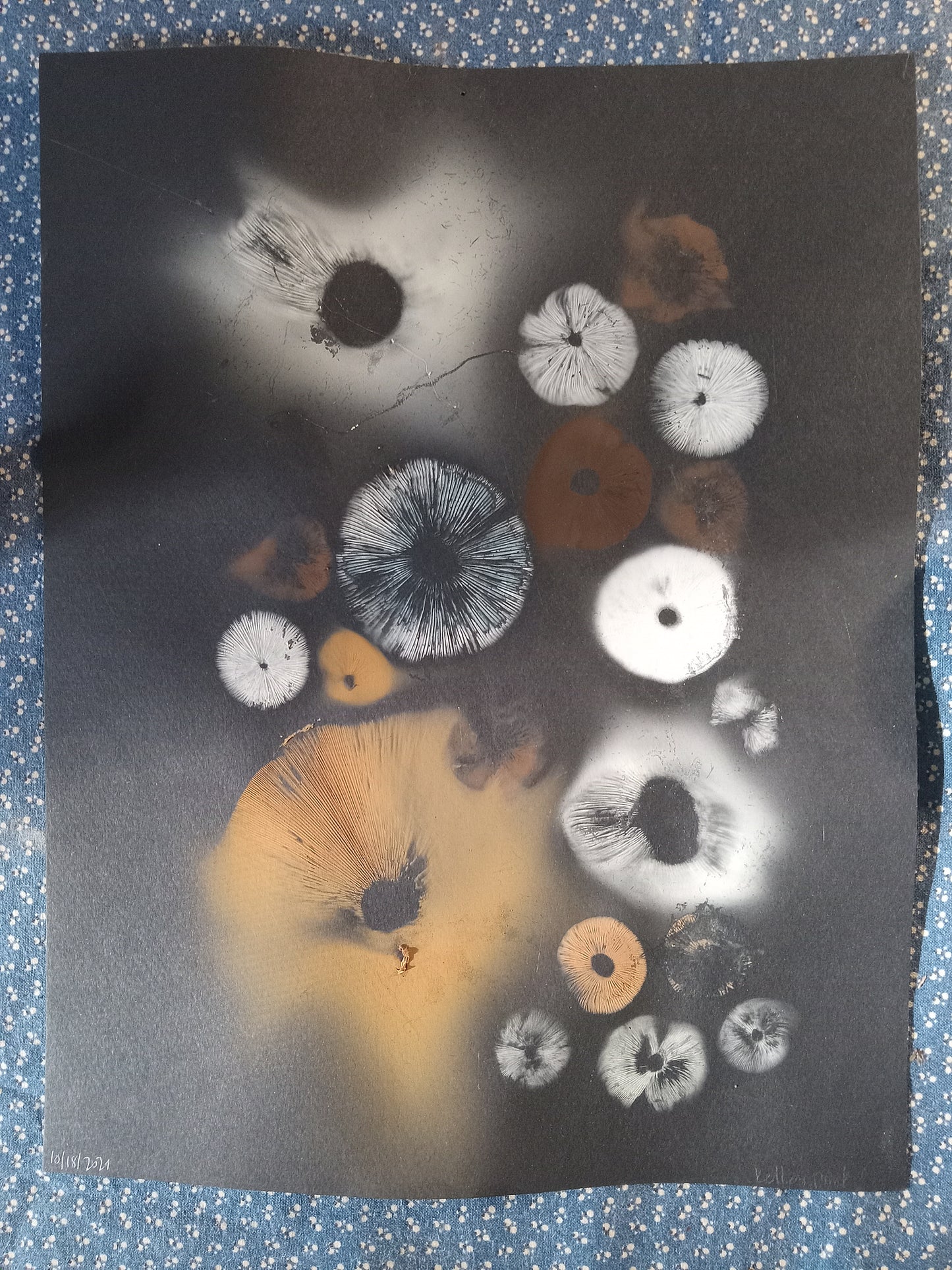 Spore Print #1071- Portland, OR