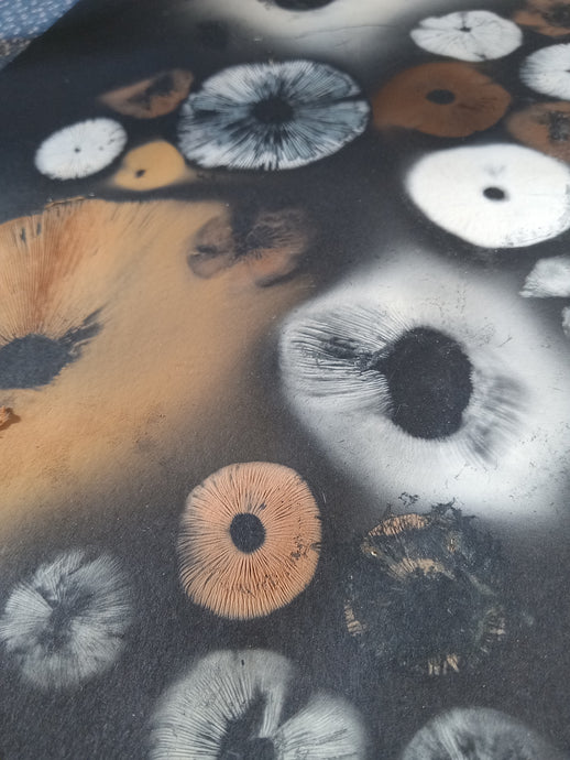 Spore Print #1071- Portland, OR