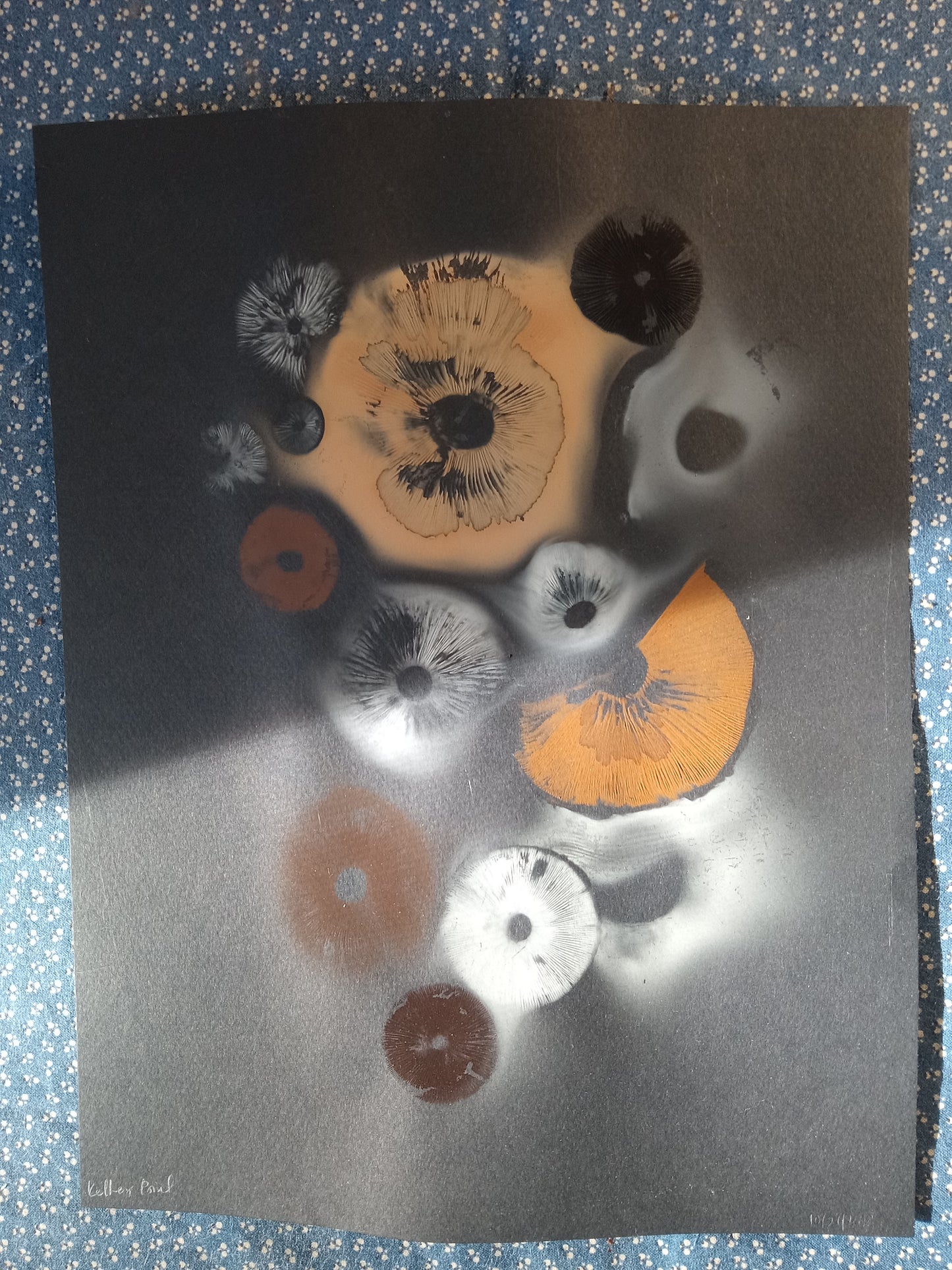 Spore Print #1072- Portland, OR