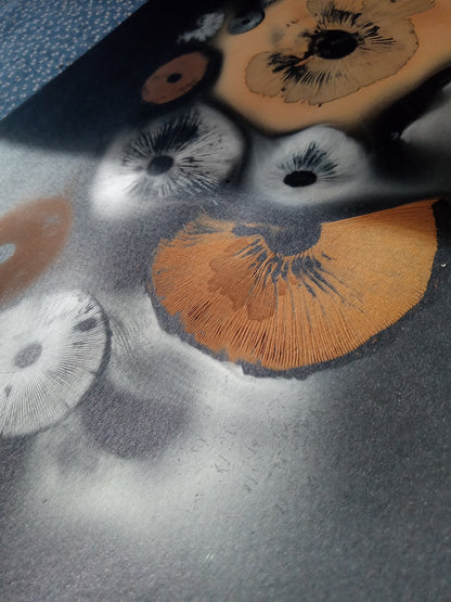 Spore Print #1072- Portland, OR