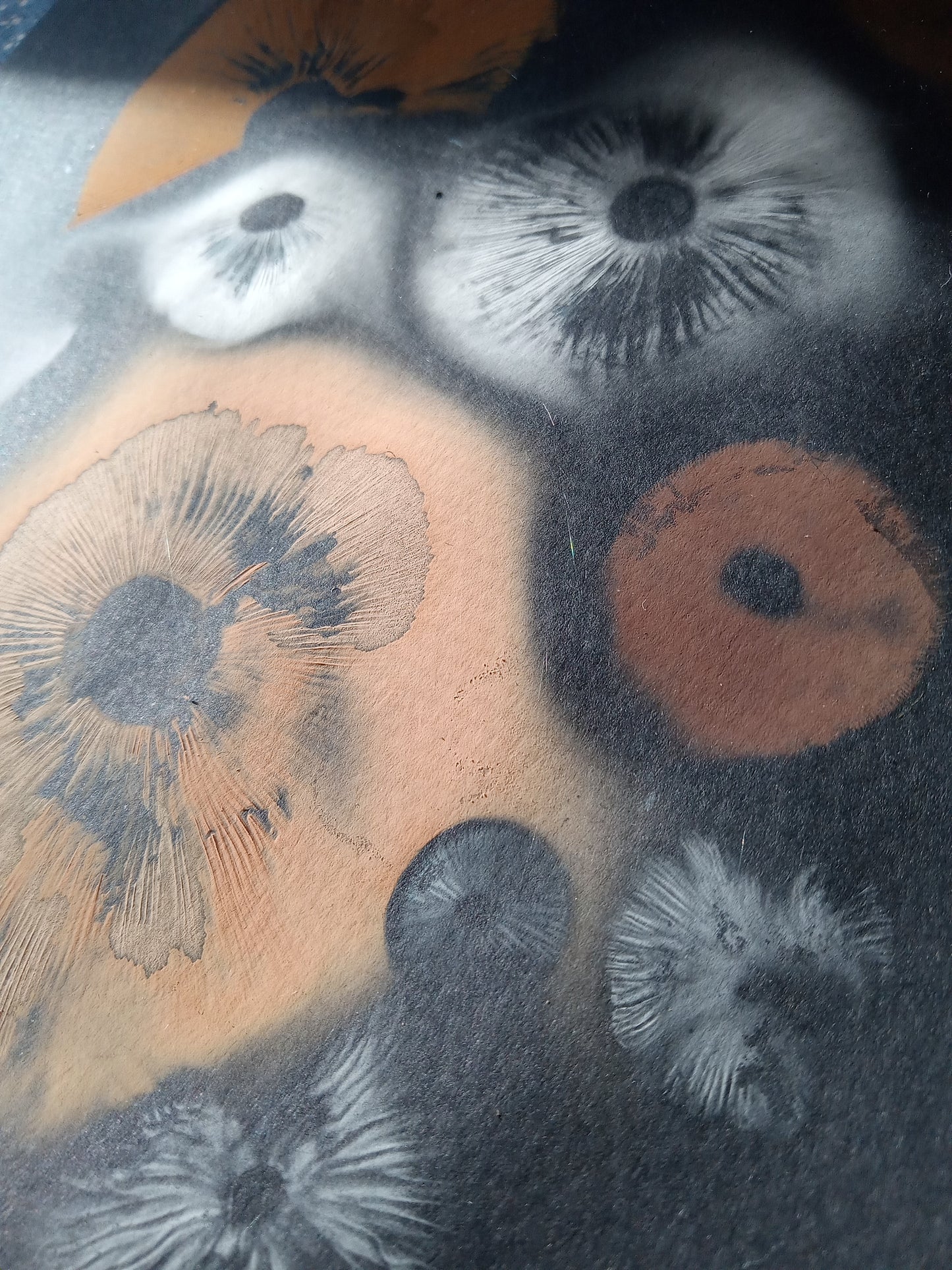 Spore Print #1072- Portland, OR